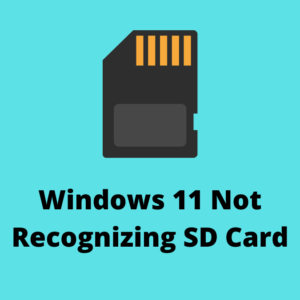 How To Fix Windows 11 Not Reading SD Card?